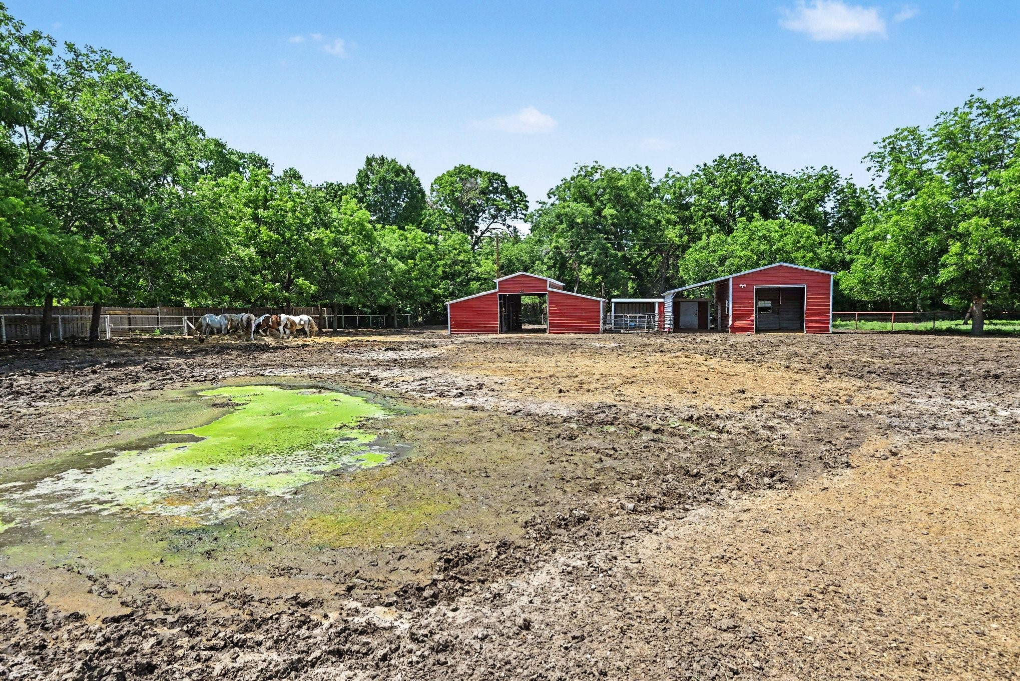 103 Tusk Court Weatherford TX 76085