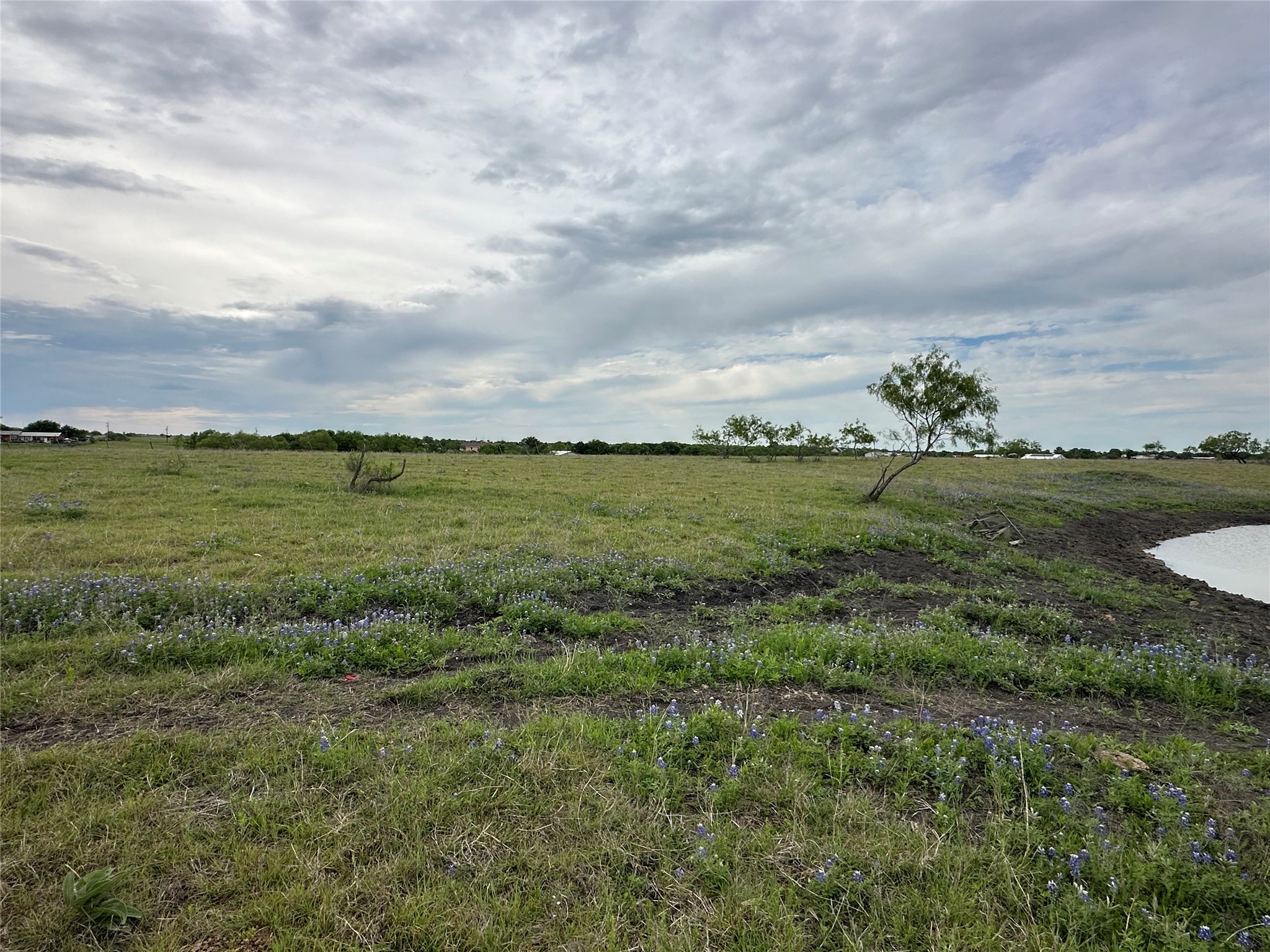 241 Gentry Road Ennis TX 75119