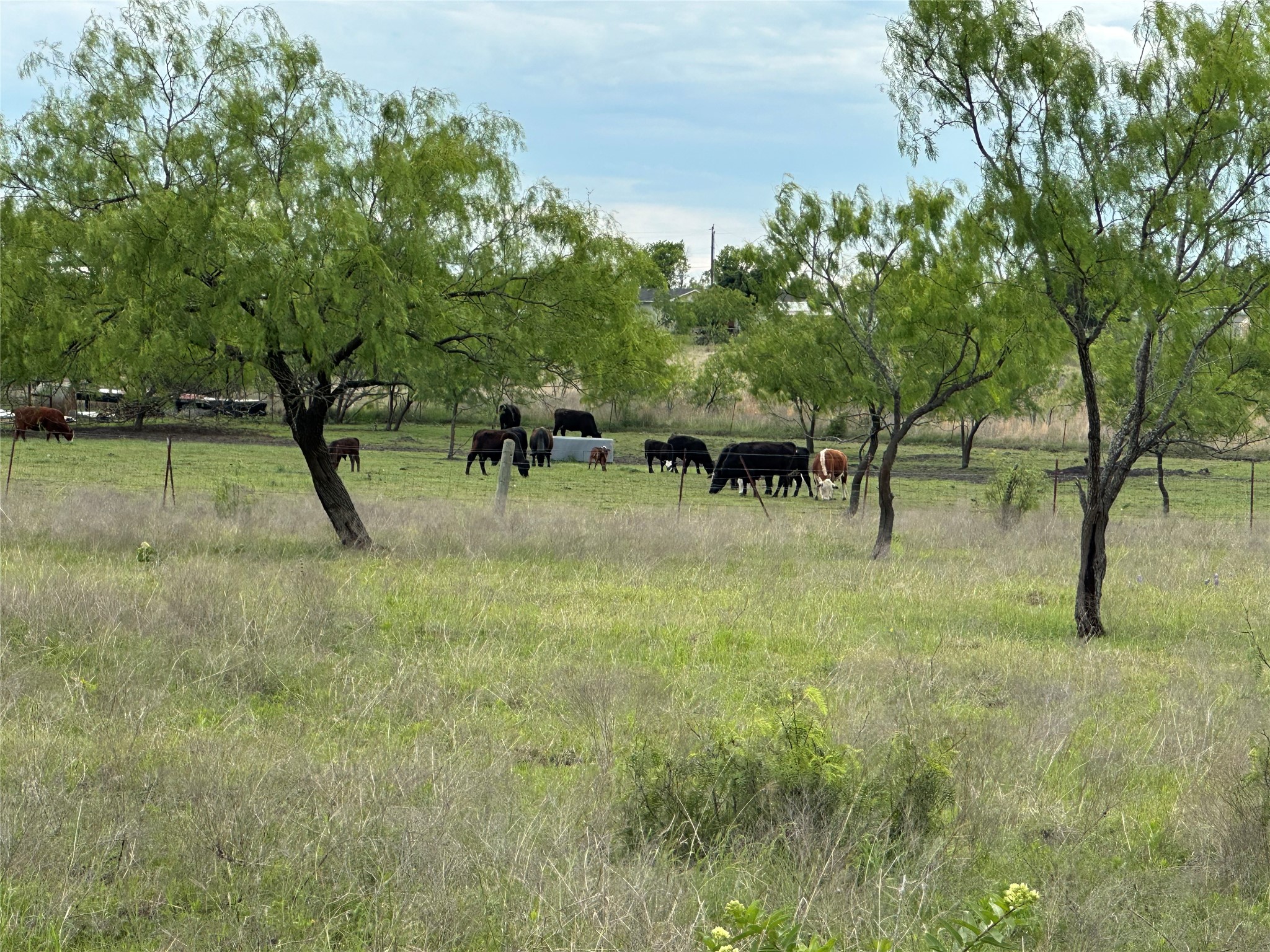 241 Gentry Road Ennis TX 75119