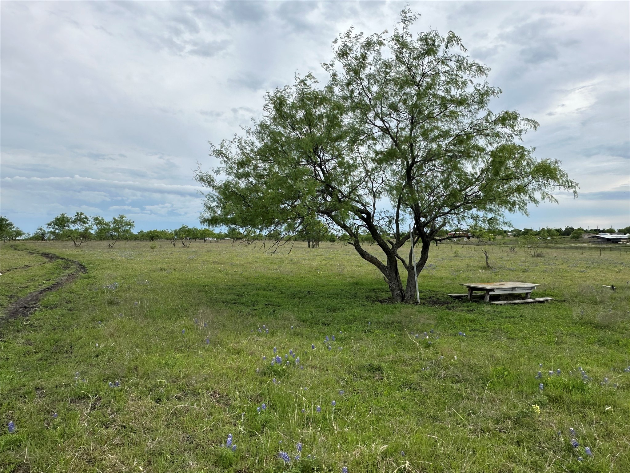241 Gentry Road Ennis TX 75119