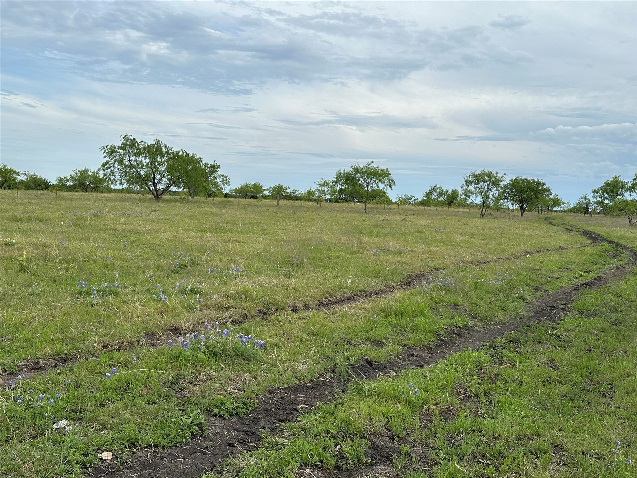 241 Gentry Road Ennis TX 75119