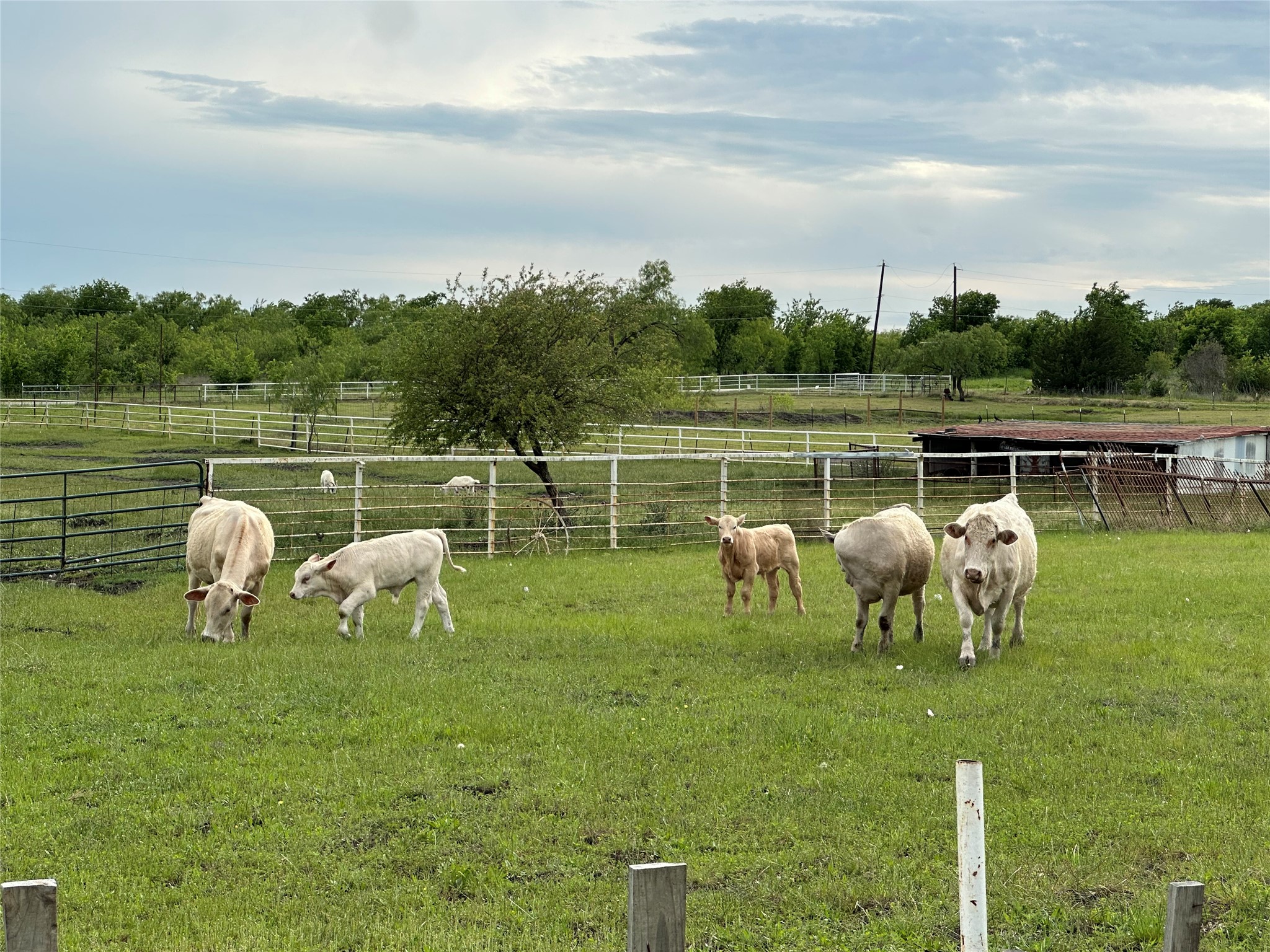 241 Gentry Road Ennis TX 75119