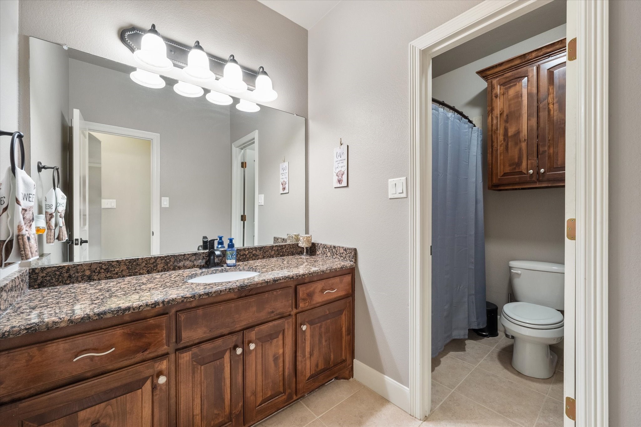 2010 Ashley Brooke Court Midlothian TX 76065