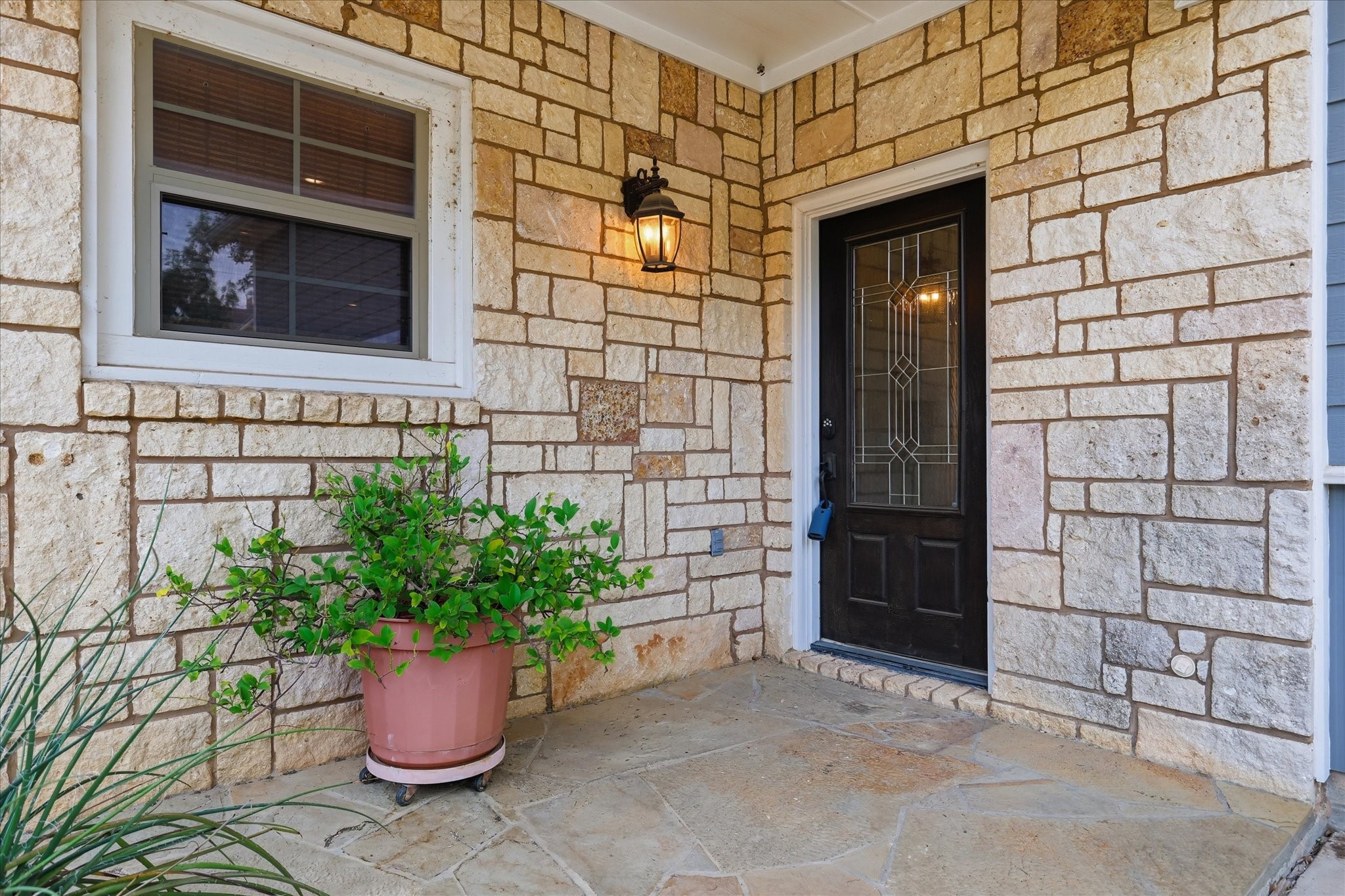 413 Collins Street Argyle TX 76226