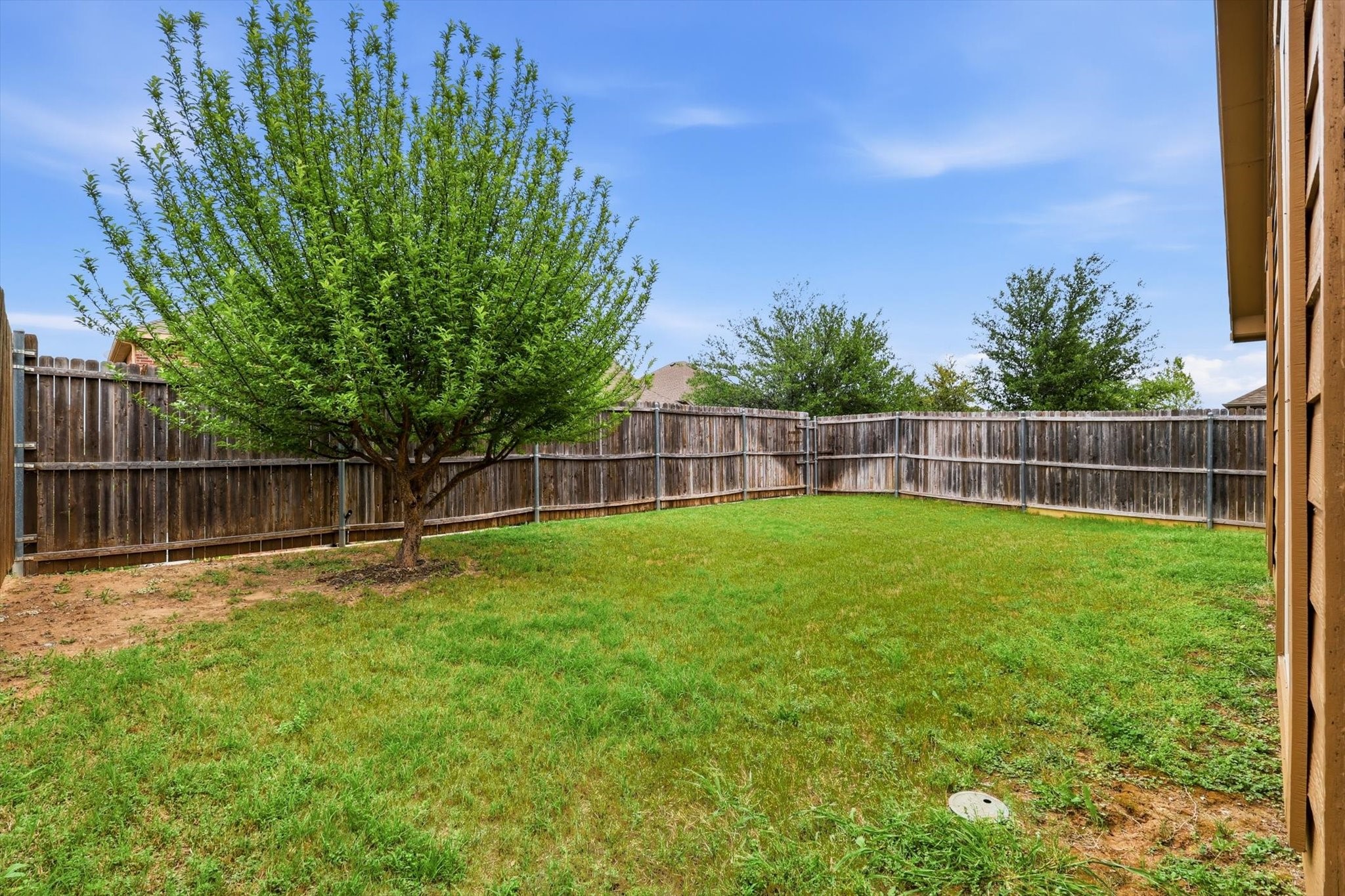 9904 Fox Squirrel Trail Mckinney TX 75071