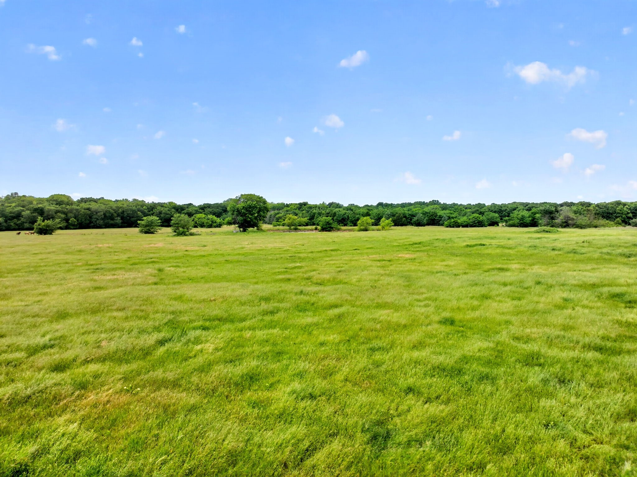 994 County Road 3925 Wolfe City TX 75496
