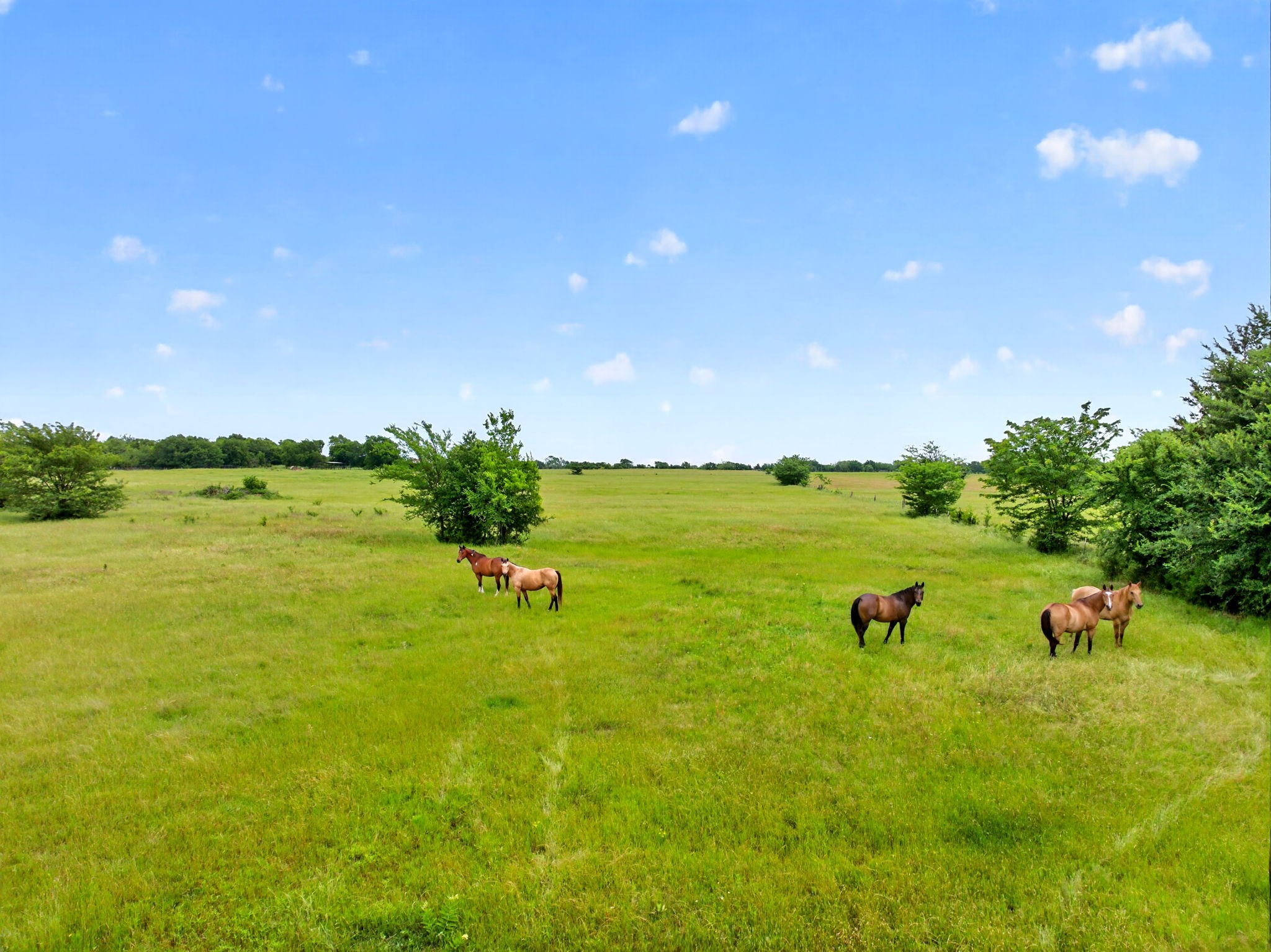 994 County Road 3925 Wolfe City TX 75496