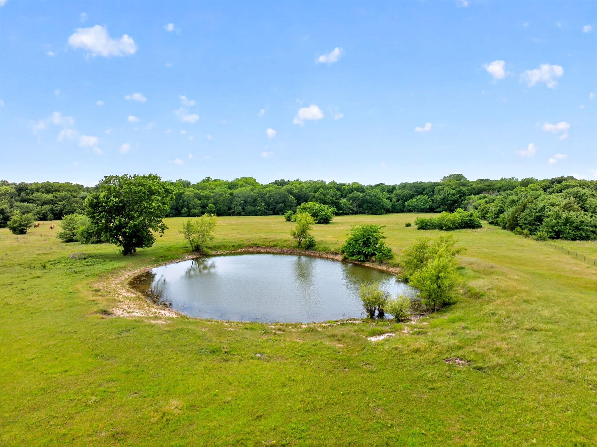 994 County Road 3925 Wolfe City TX 75496