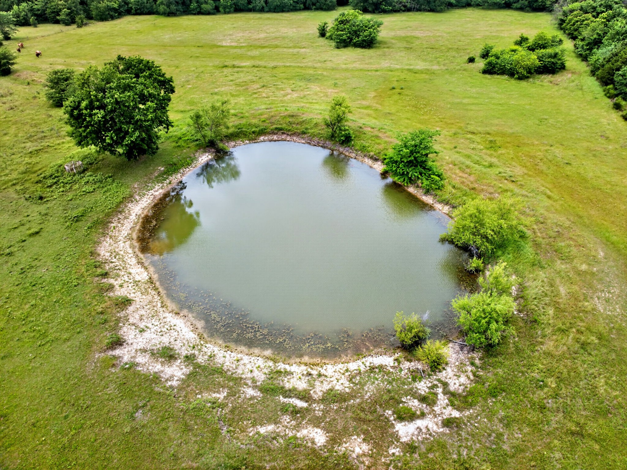 994 County Road 3925 Wolfe City TX 75496