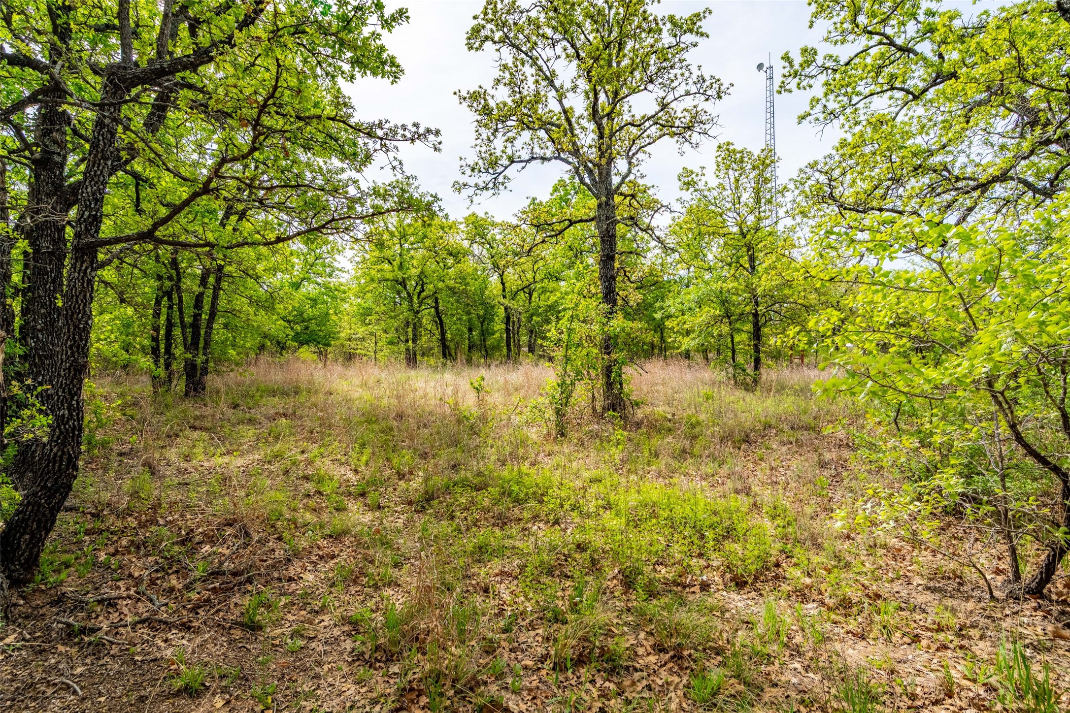 685 County Road 3673 Paradise TX 76073