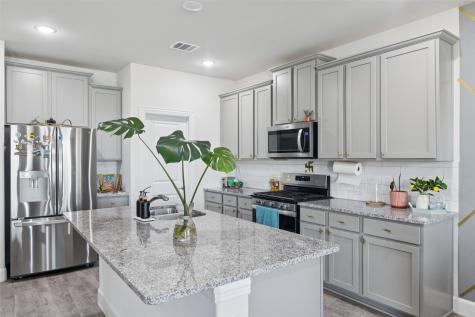 2517 Galisto Lane Aubrey TX 76227