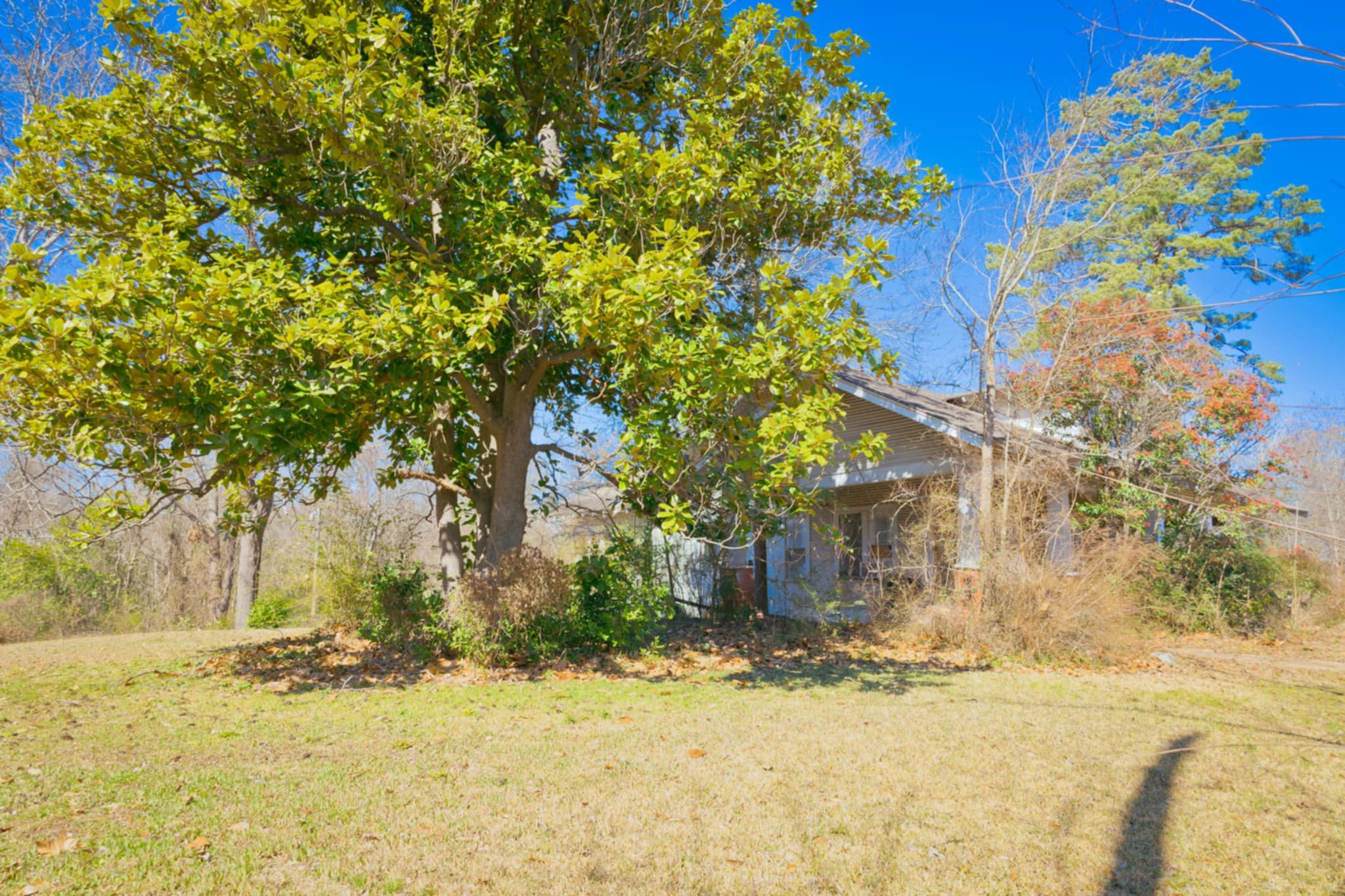 501 N Spring Street Grand Saline TX 75140