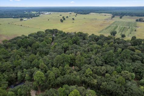 177 Woodfern Glen Holly Lake Ranch TX 75765