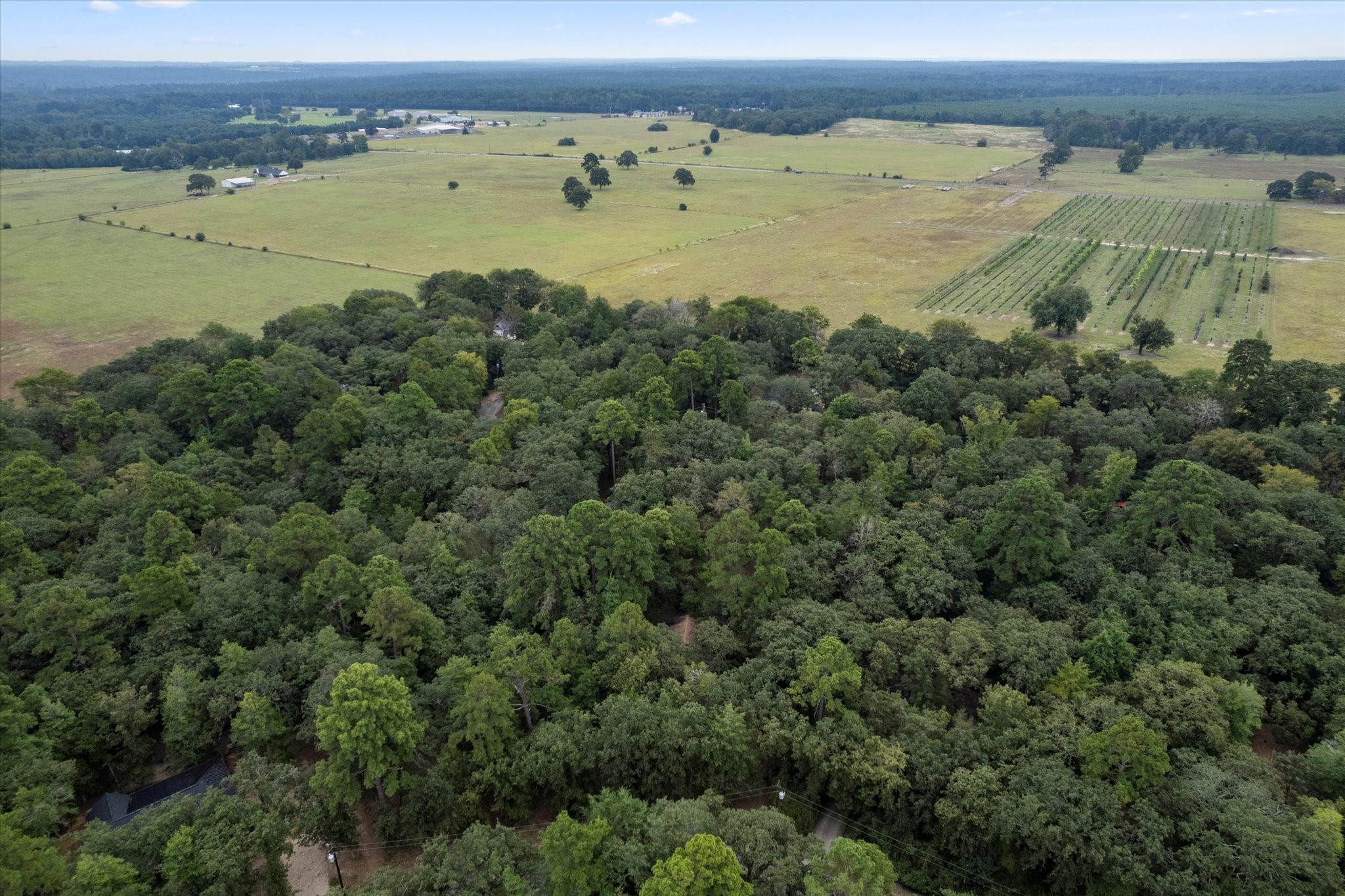 177 Woodfern Glen Holly Lake Ranch TX 75765