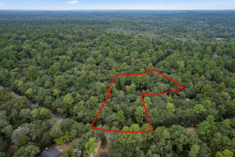 177 Woodfern Glen Holly Lake Ranch TX 75765