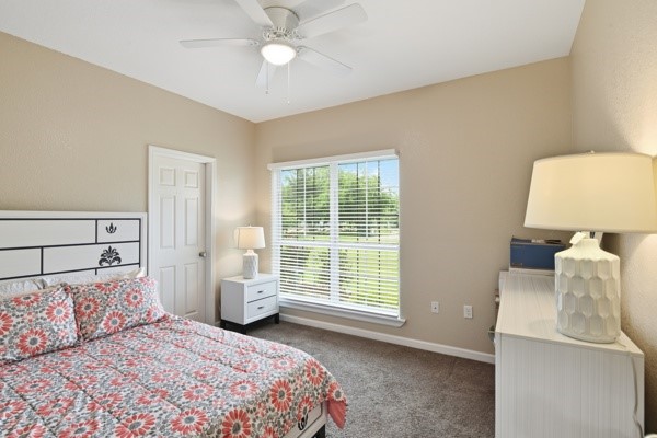 25452 Williams Drive Justin TX 76247