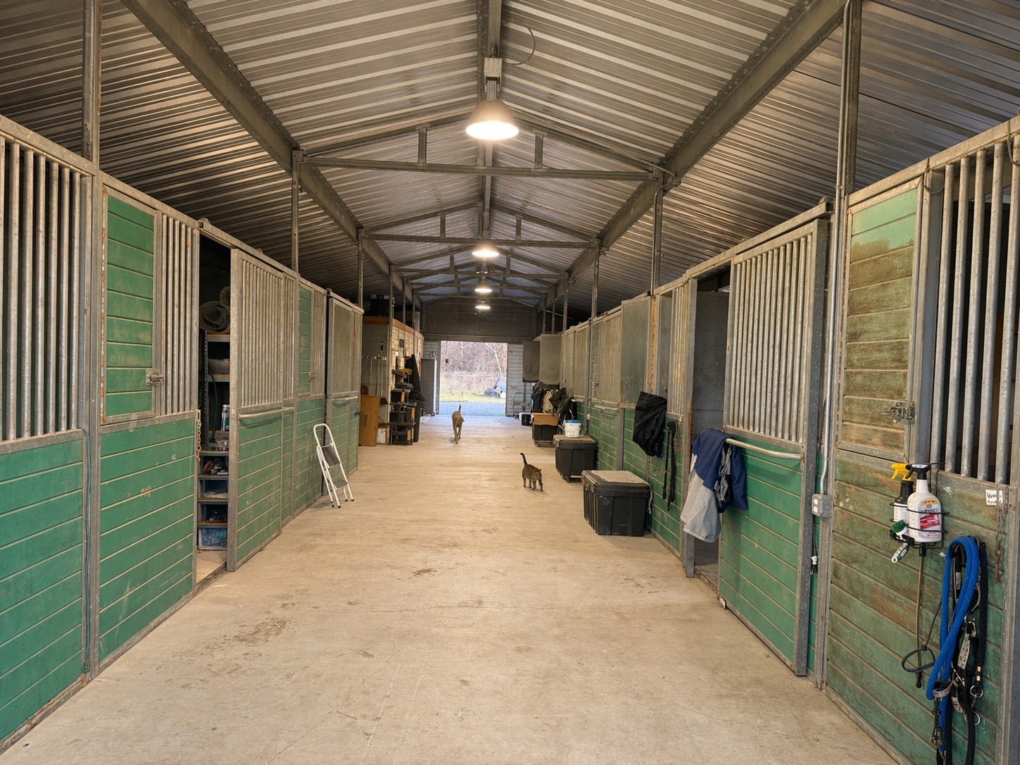 226 Hcr 3321 Hubbard TX 76648
