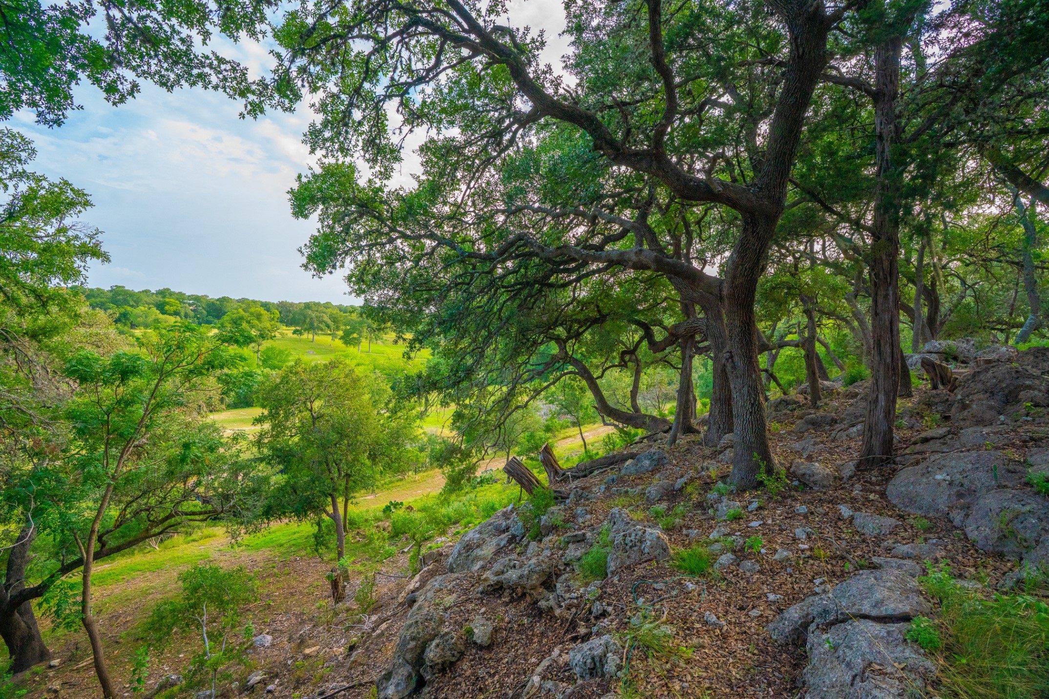 103 Misty Waters Boerne TX 78006