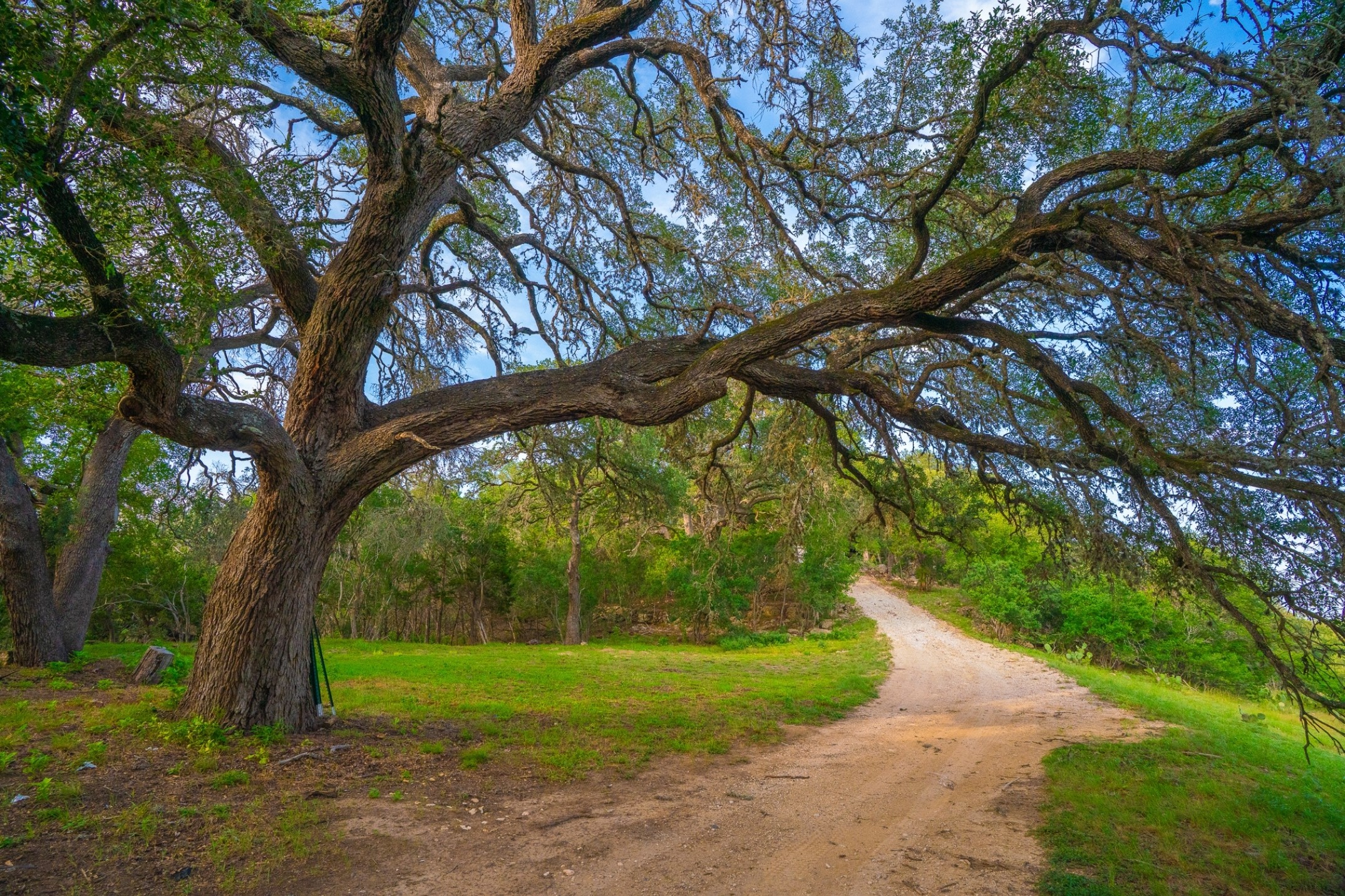 103 Misty Waters Boerne TX 78006
