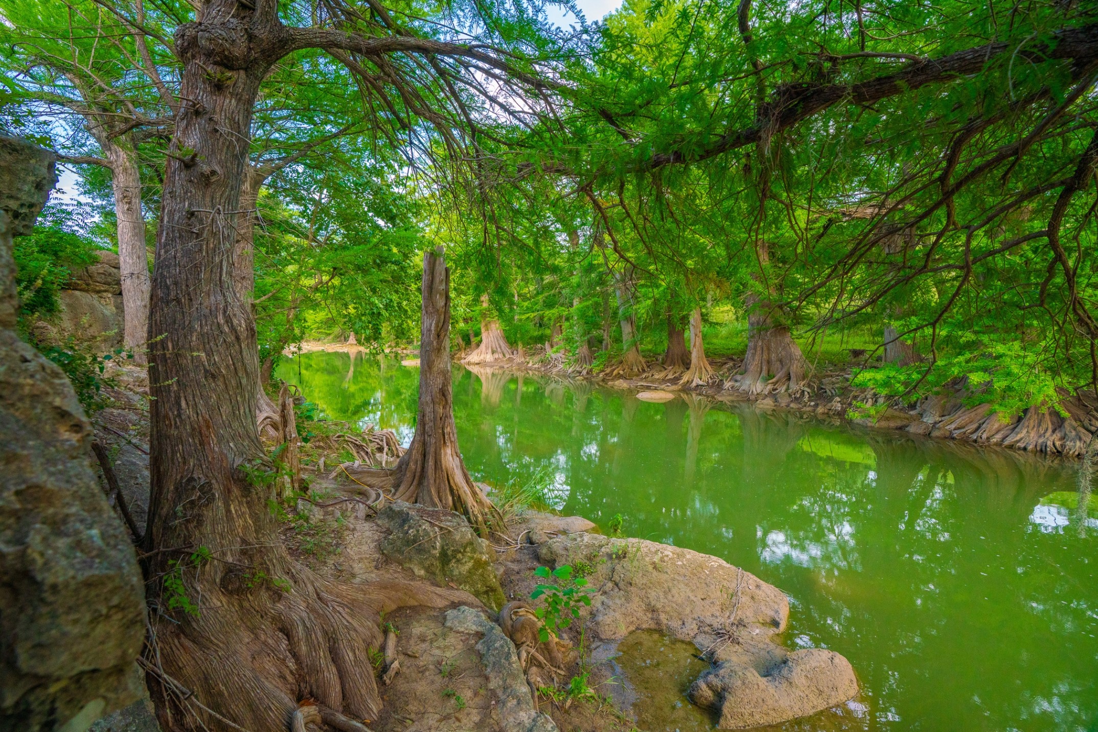 103 Misty Waters Boerne TX 78006