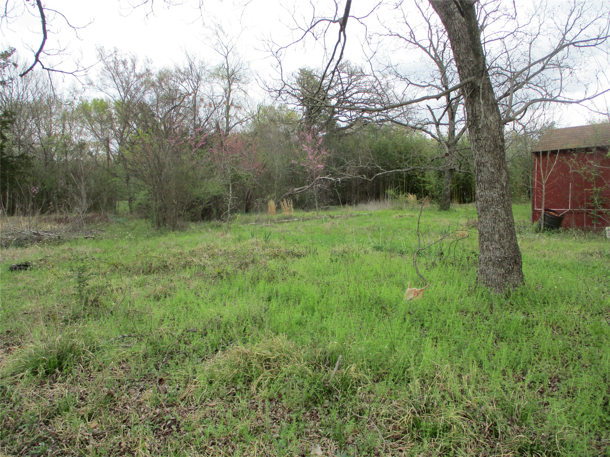 522 E Quitman Street Emory TX 75440