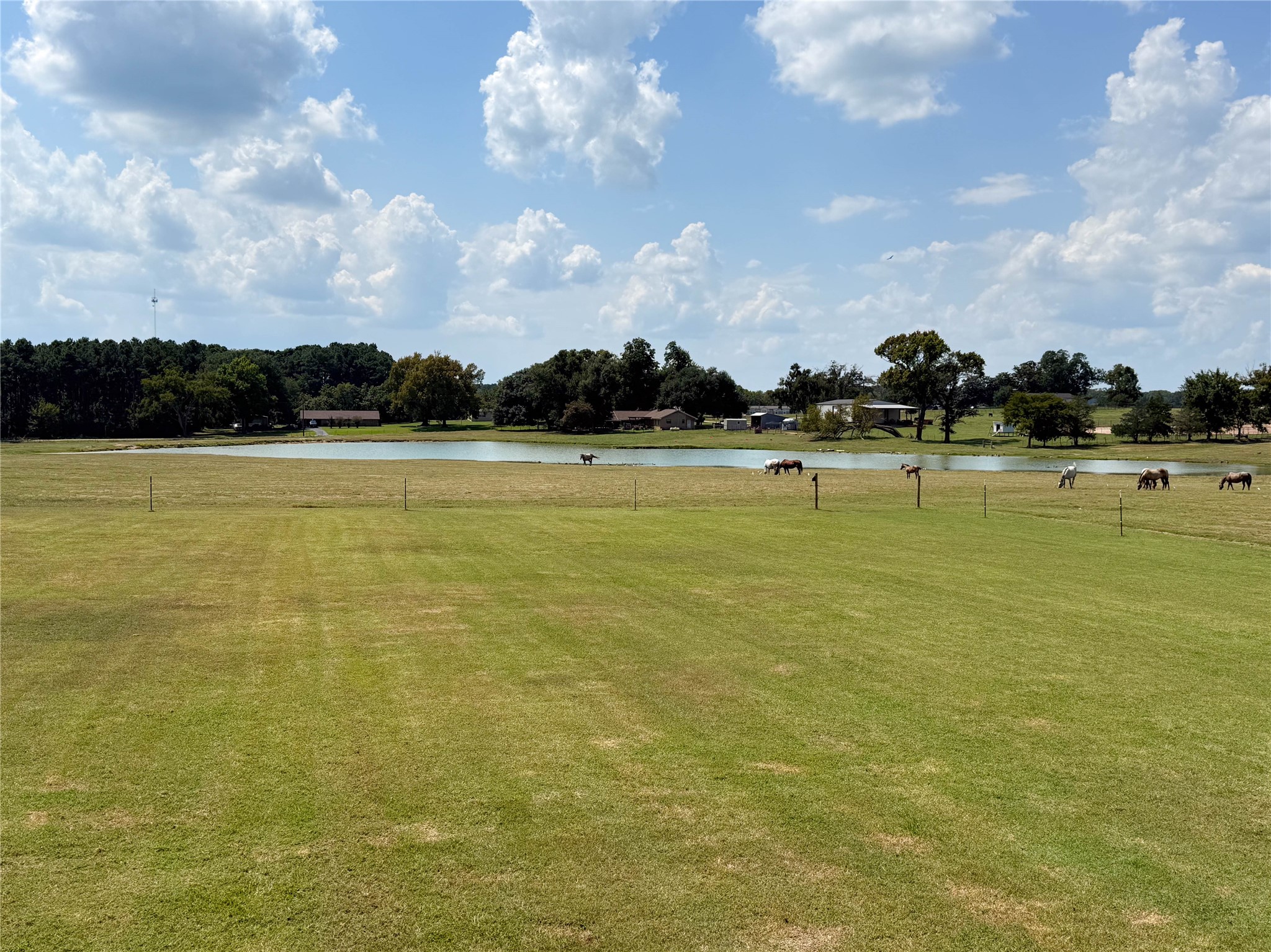 10533 County Road 4336 Larue TX 75770