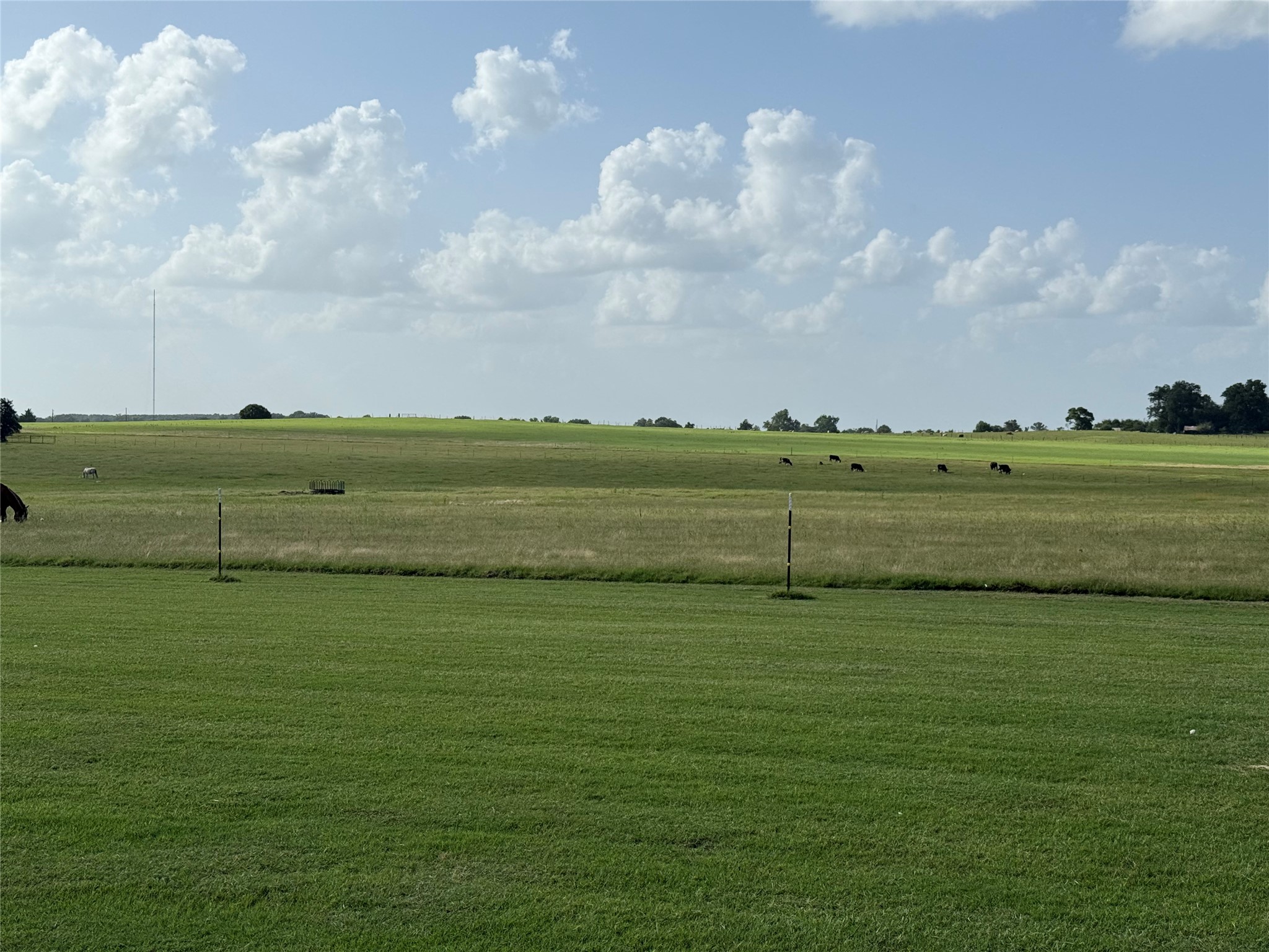 10533 County Road 4336 Larue TX 75770