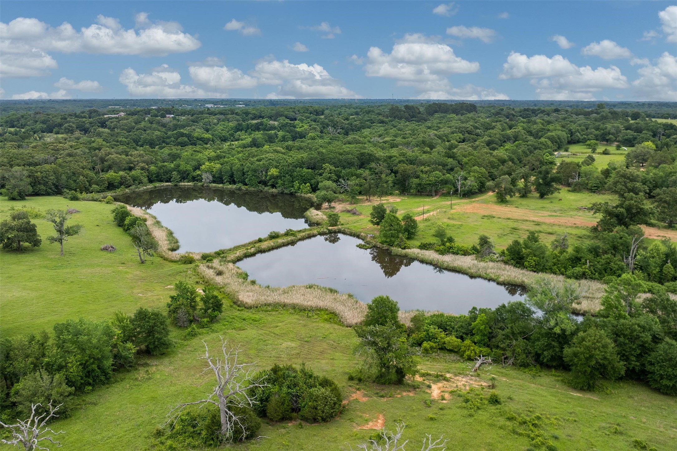 5520 County Road 1502 Athens TX 75751
