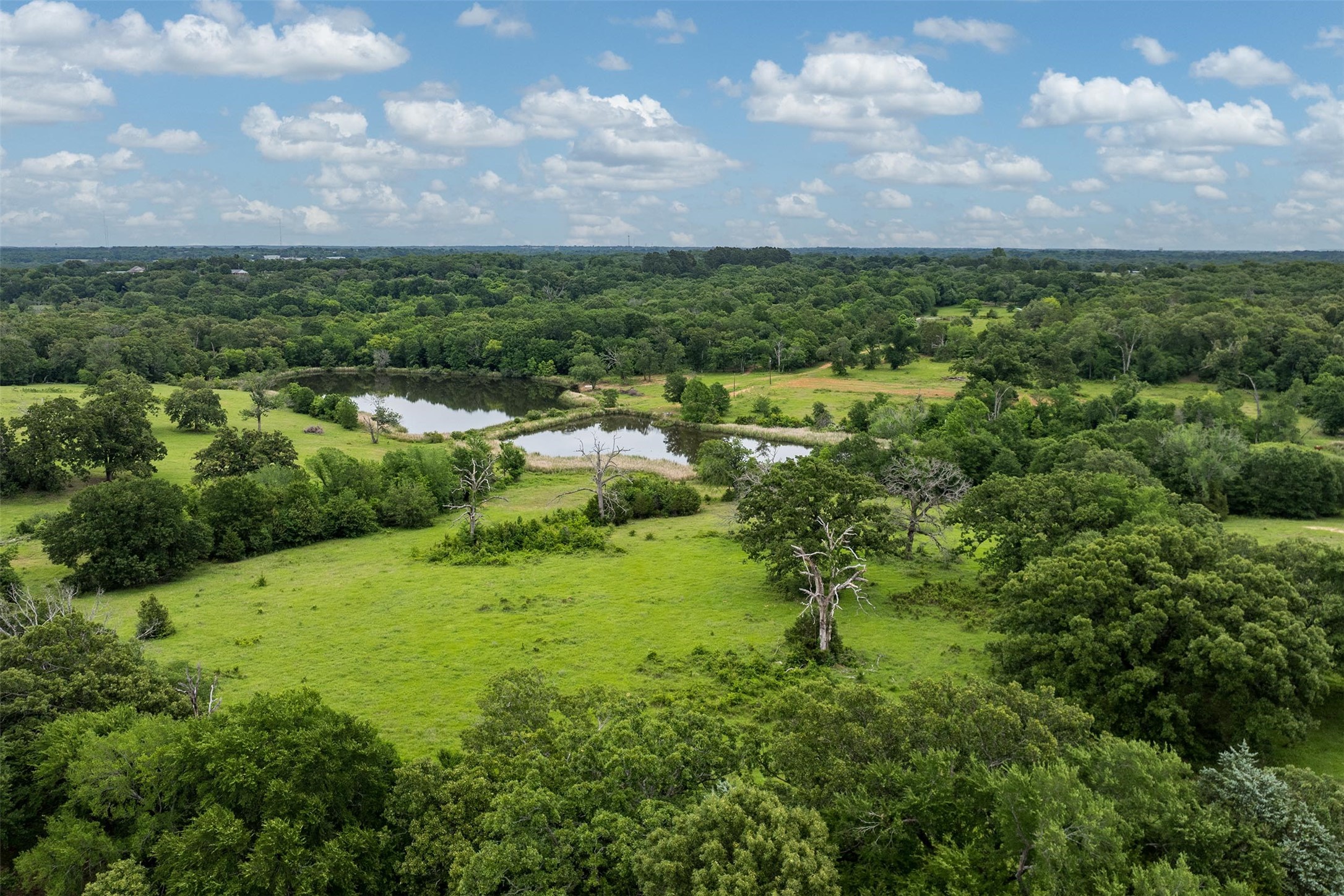 5520 County Road 1502 Athens TX 75751