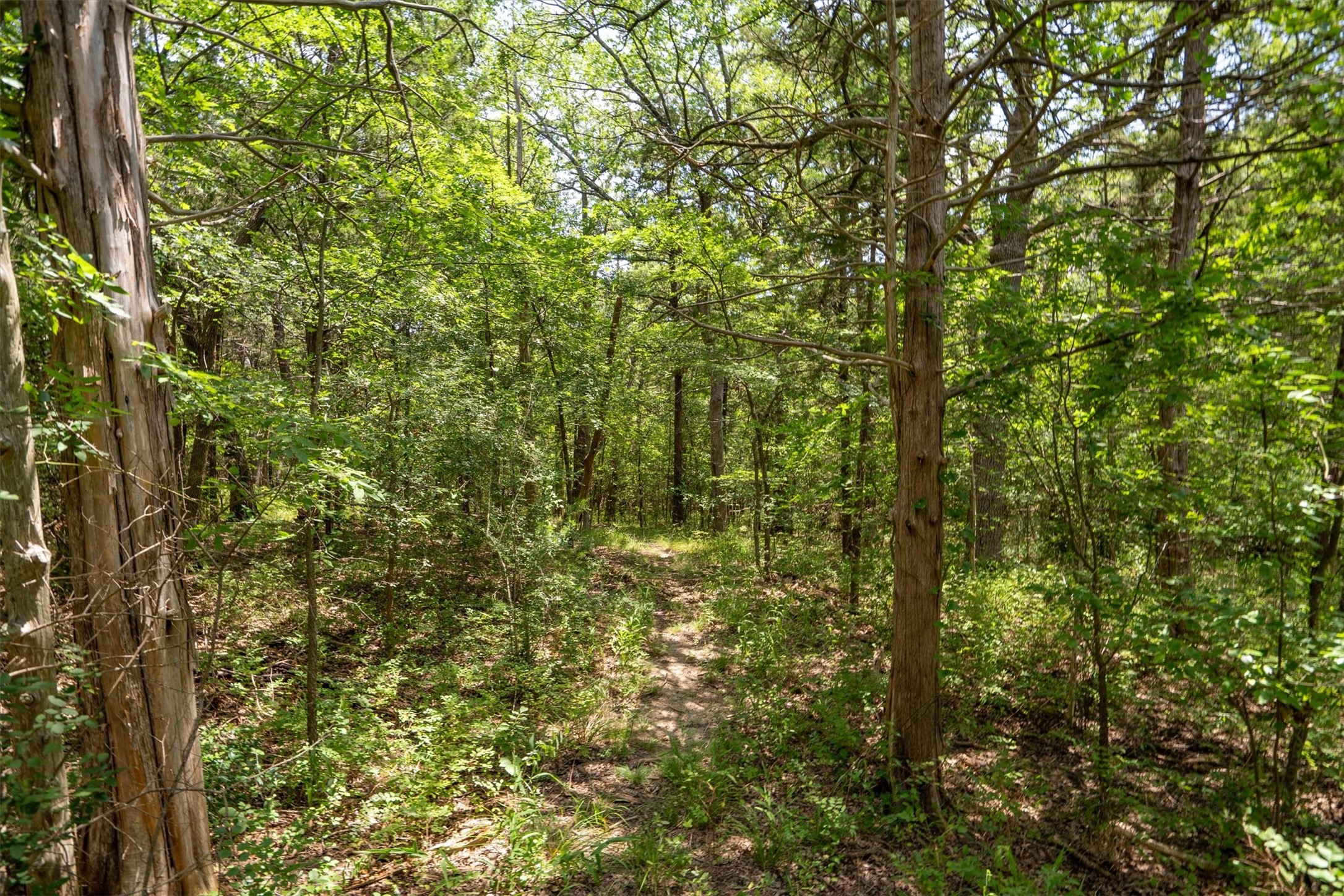 75 Lakepoint Loop Pottsboro TX 75076