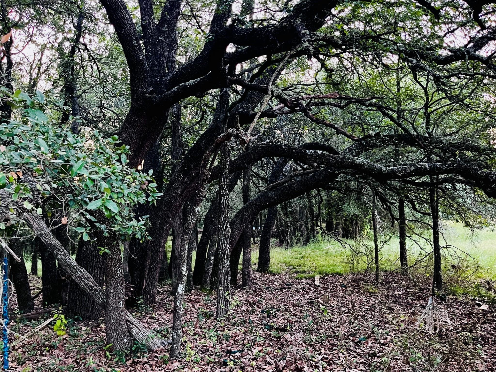 701 County Road 319 Early TX 76802