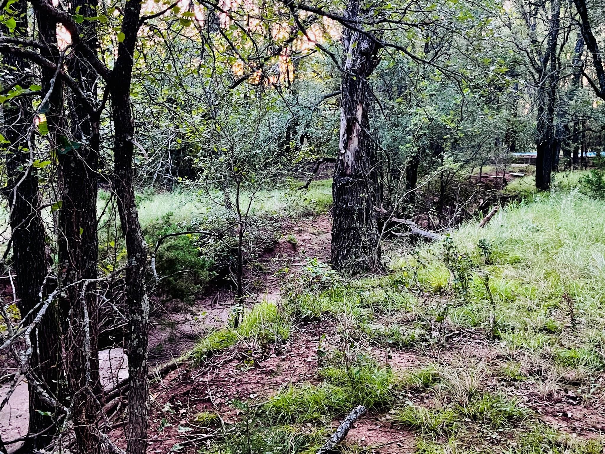 701 County Road 319 Early TX 76802