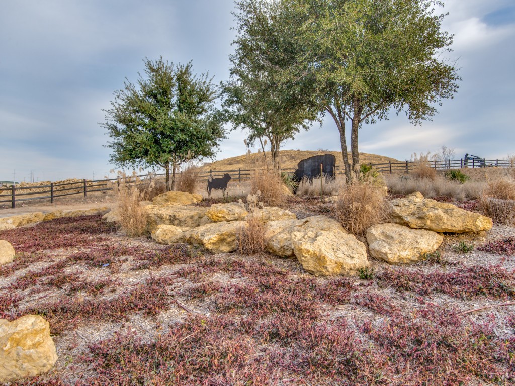 1044 Myers Park Trail Roanoke TX 76262