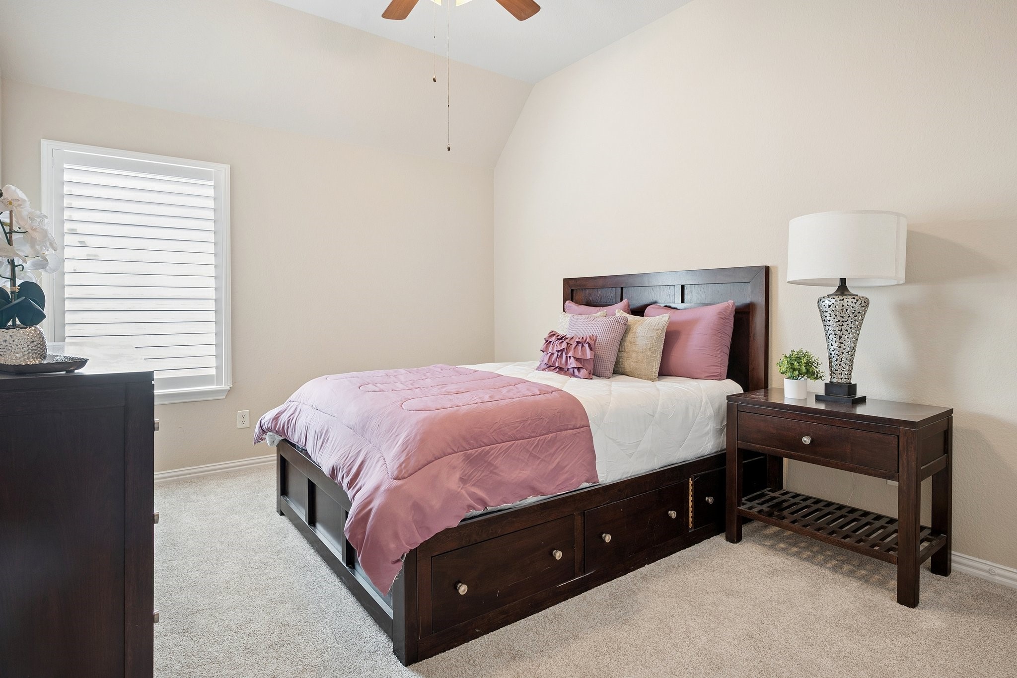 2432 Lakebend Drive Little Elm TX 75068