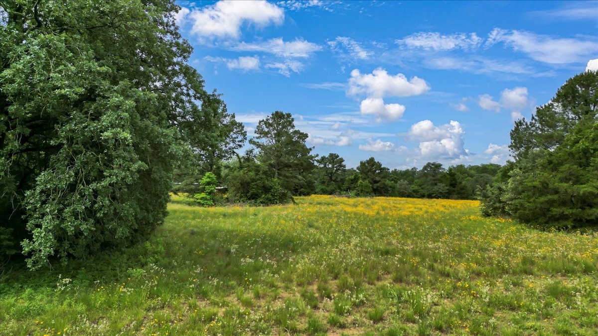 6299 Us Highway 271 Gilmer TX 75644