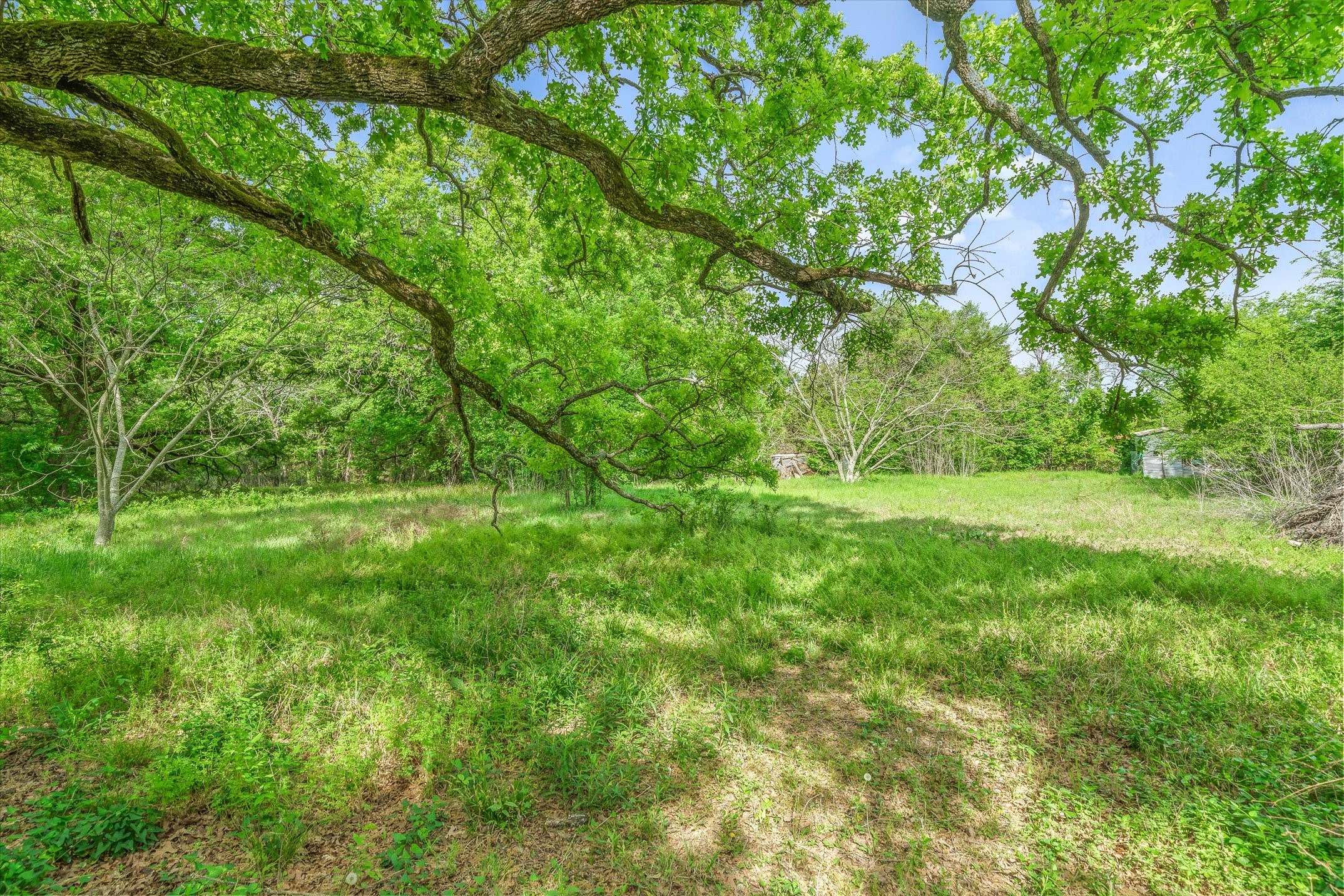 350 Vz County Road 3509 Edgewood TX 75117