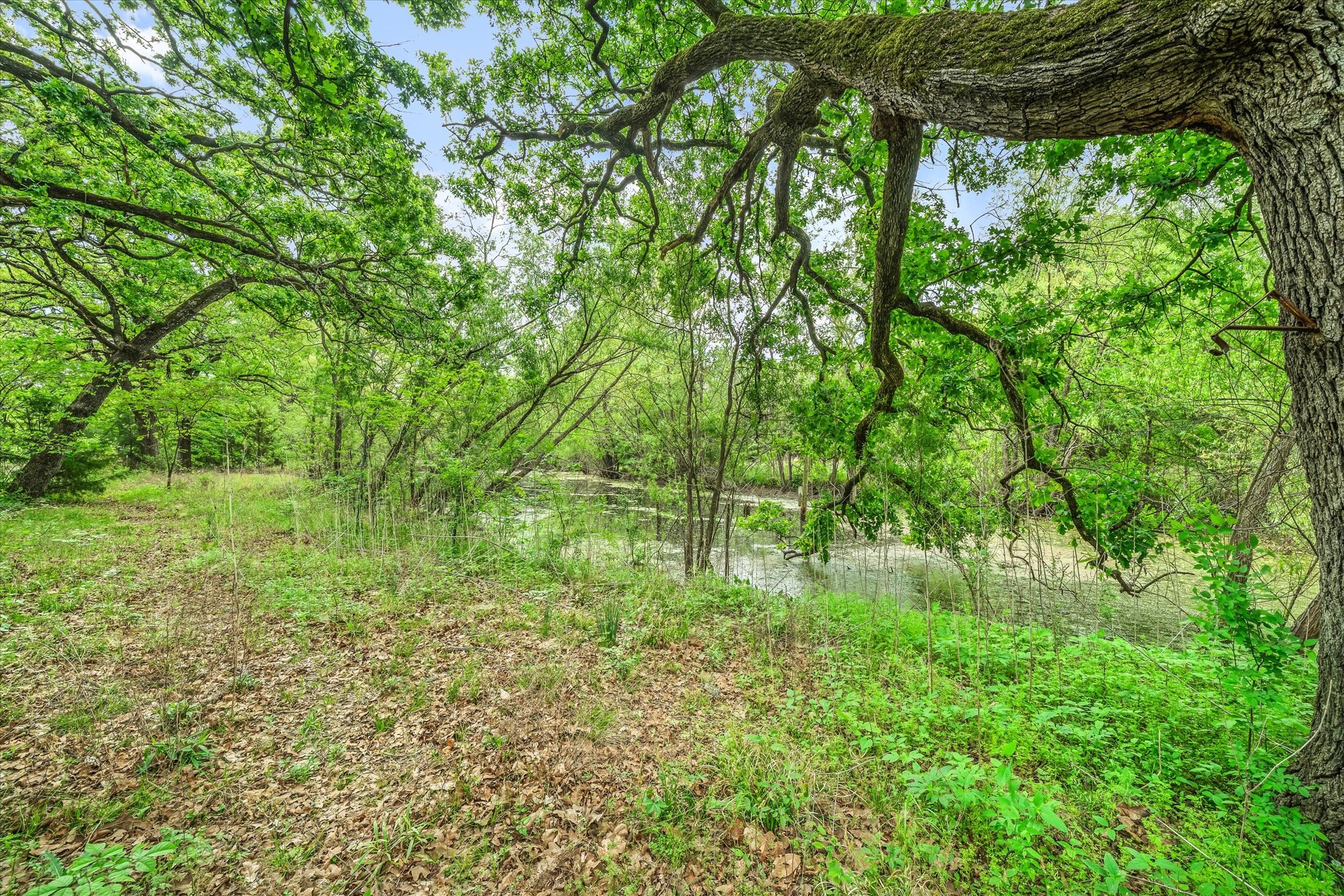 350 Vz County Road 3509 Edgewood TX 75117