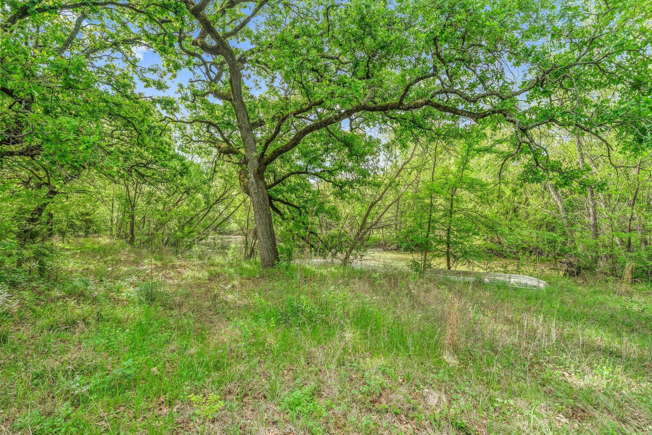 350 Vz County Road 3509 Edgewood TX 75117