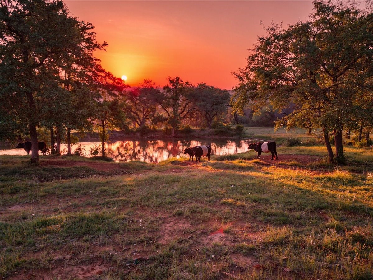 3909 Paluxy Highway Granbury TX 76048