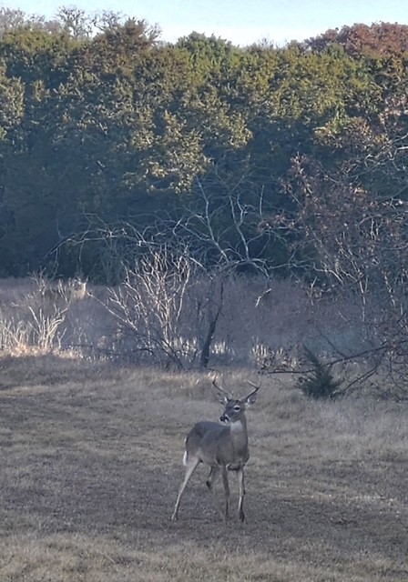 198 Fort Graham Road Whitney TX 76692