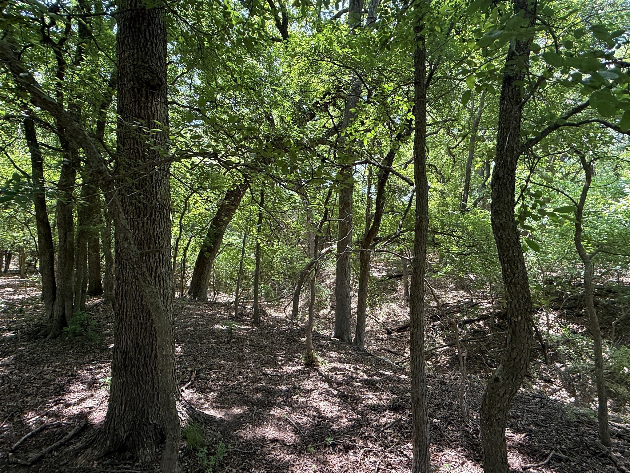 998 Highway 22 E Hamilton TX 76531