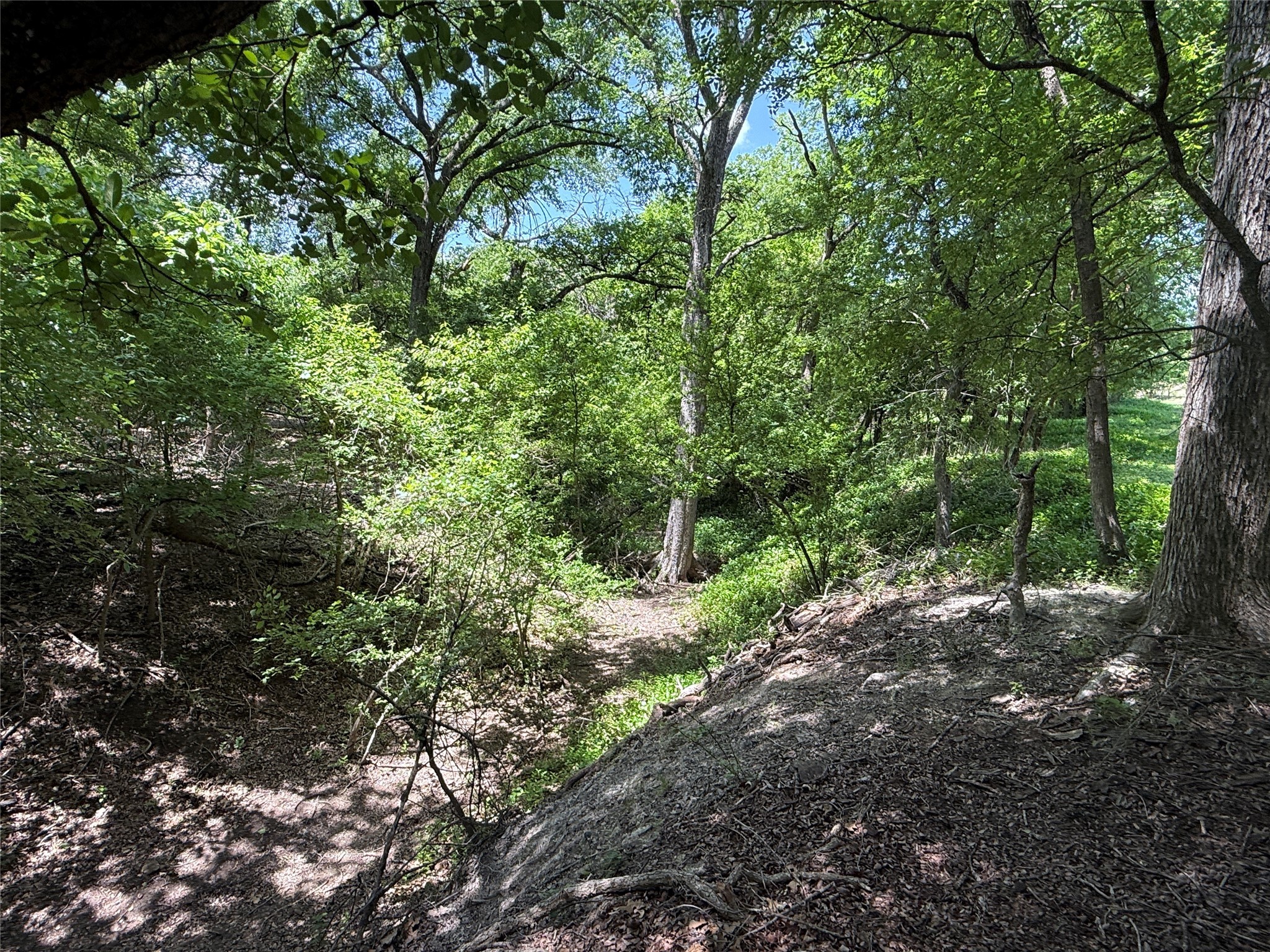 998 Highway 22 E Hamilton TX 76531