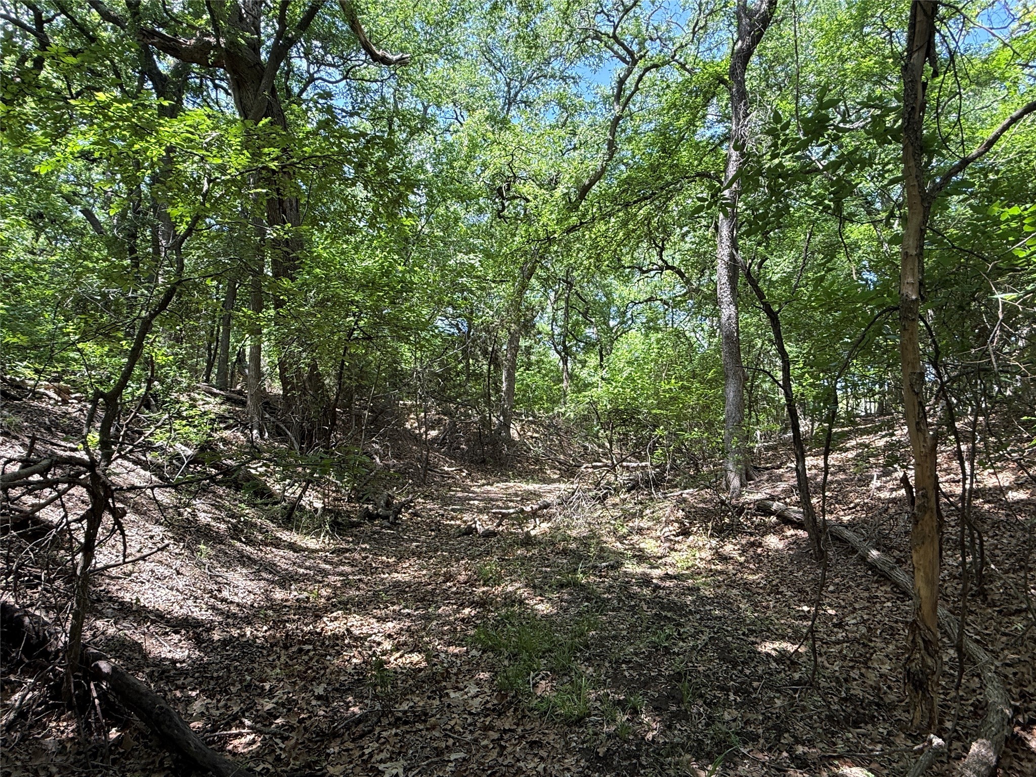 998 Highway 22 E Hamilton TX 76531