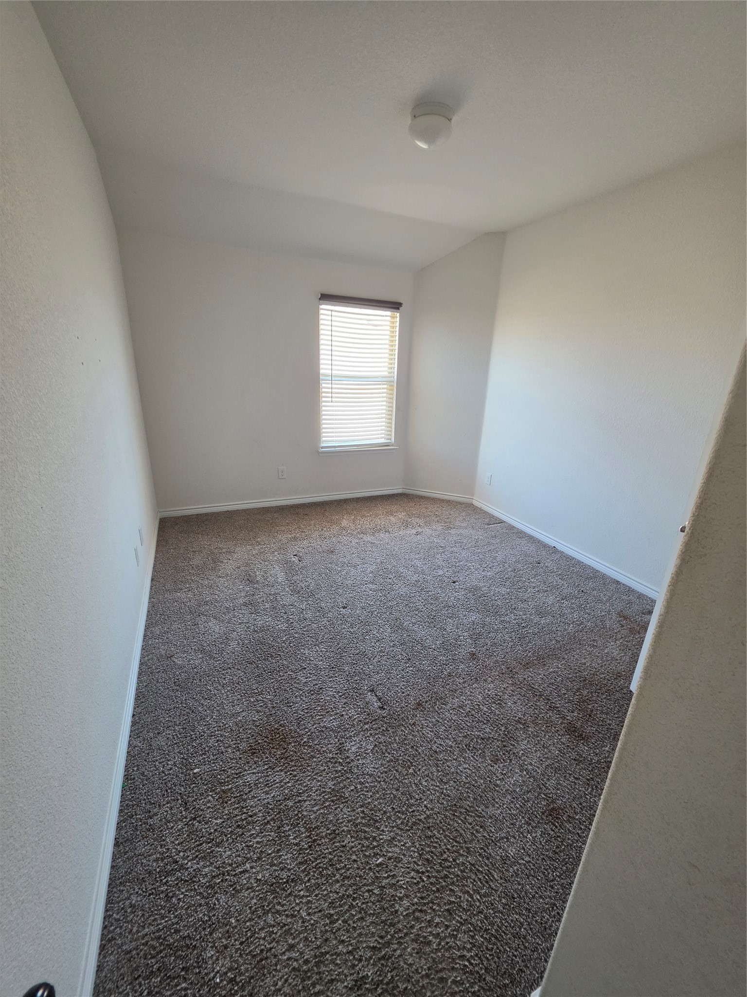920 Philadelphia Street Fate TX 75189
