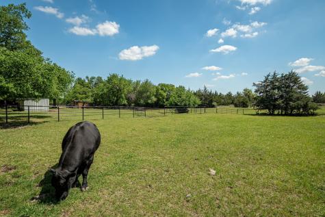 14392 State Highway 78 N Blue Ridge TX 75424