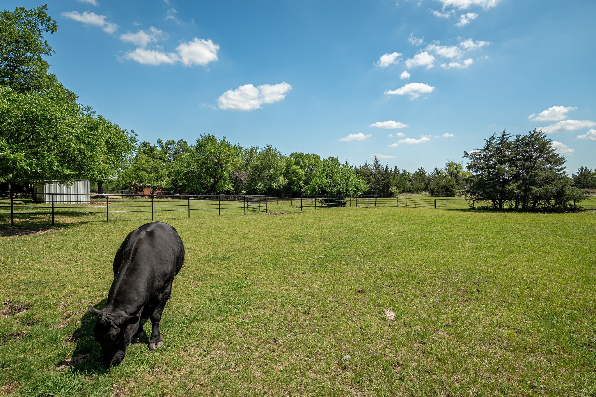 14392 State Highway 78 N Blue Ridge TX 75424