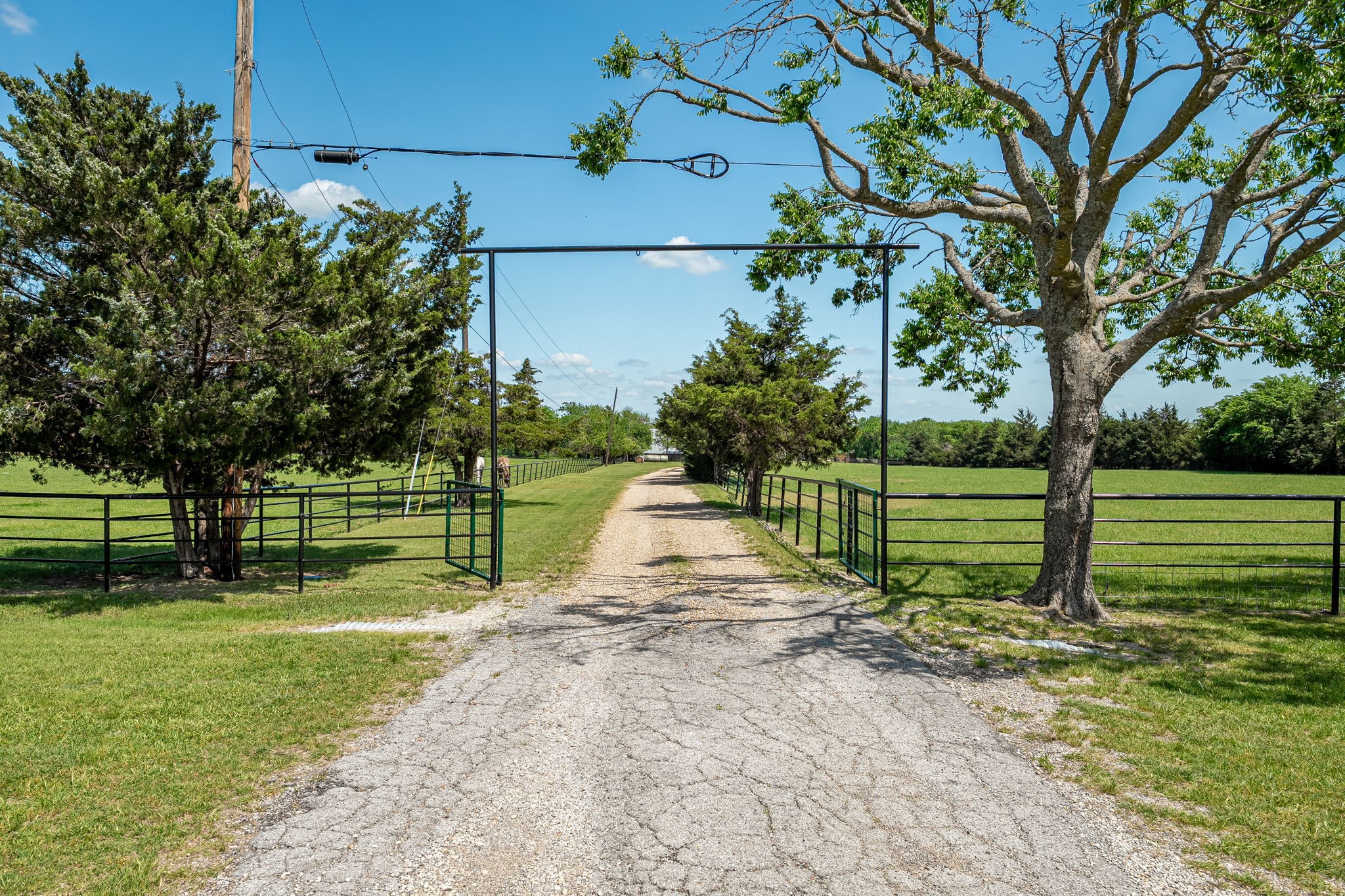 14392 State Highway 78 N Blue Ridge TX 75424
