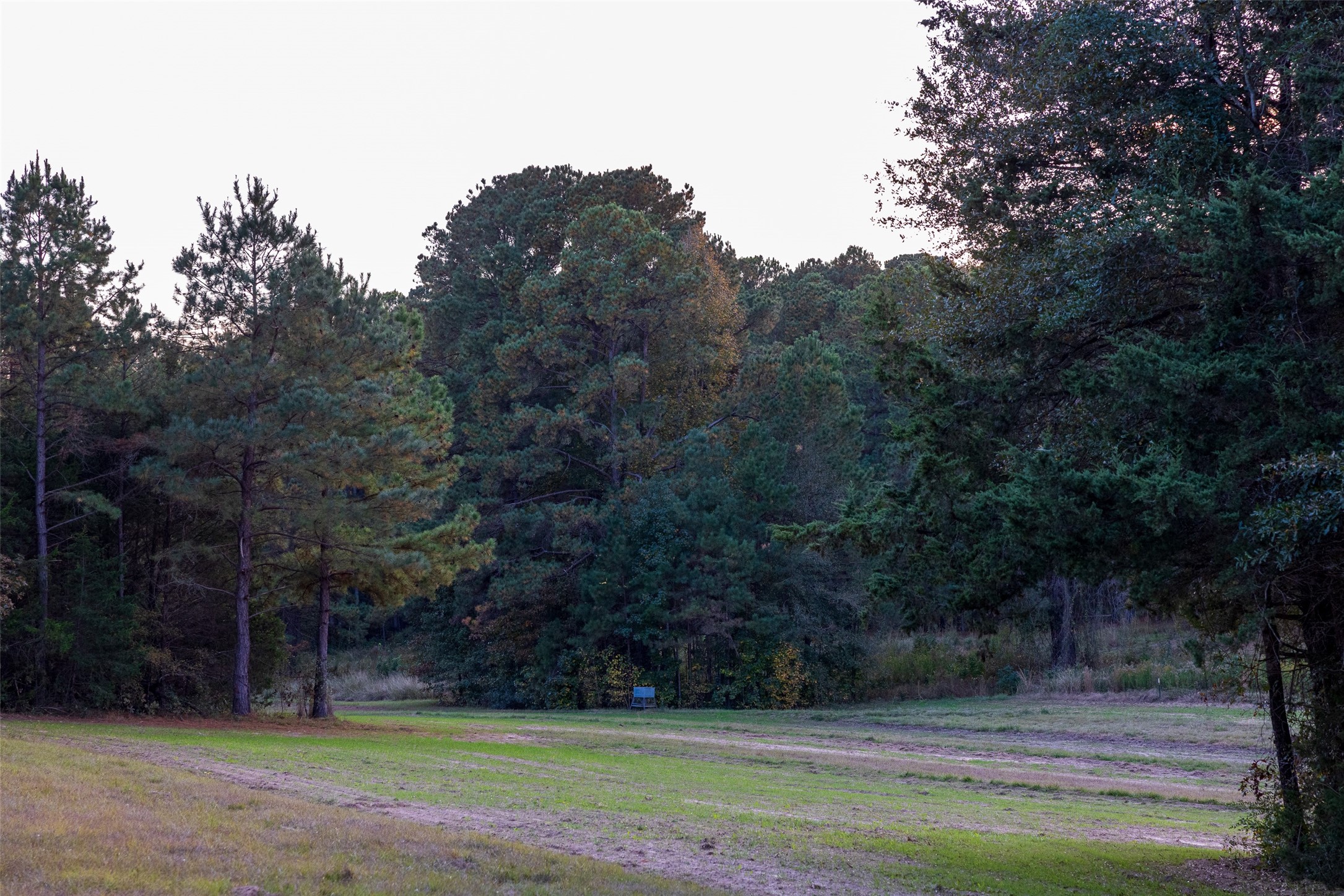 640 County Road 4910 Troup TX 75789