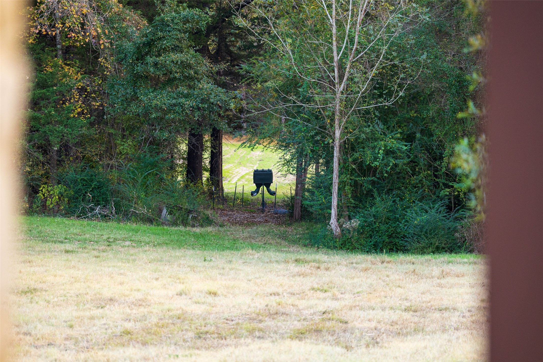 640 County Road 4910 Troup TX 75789