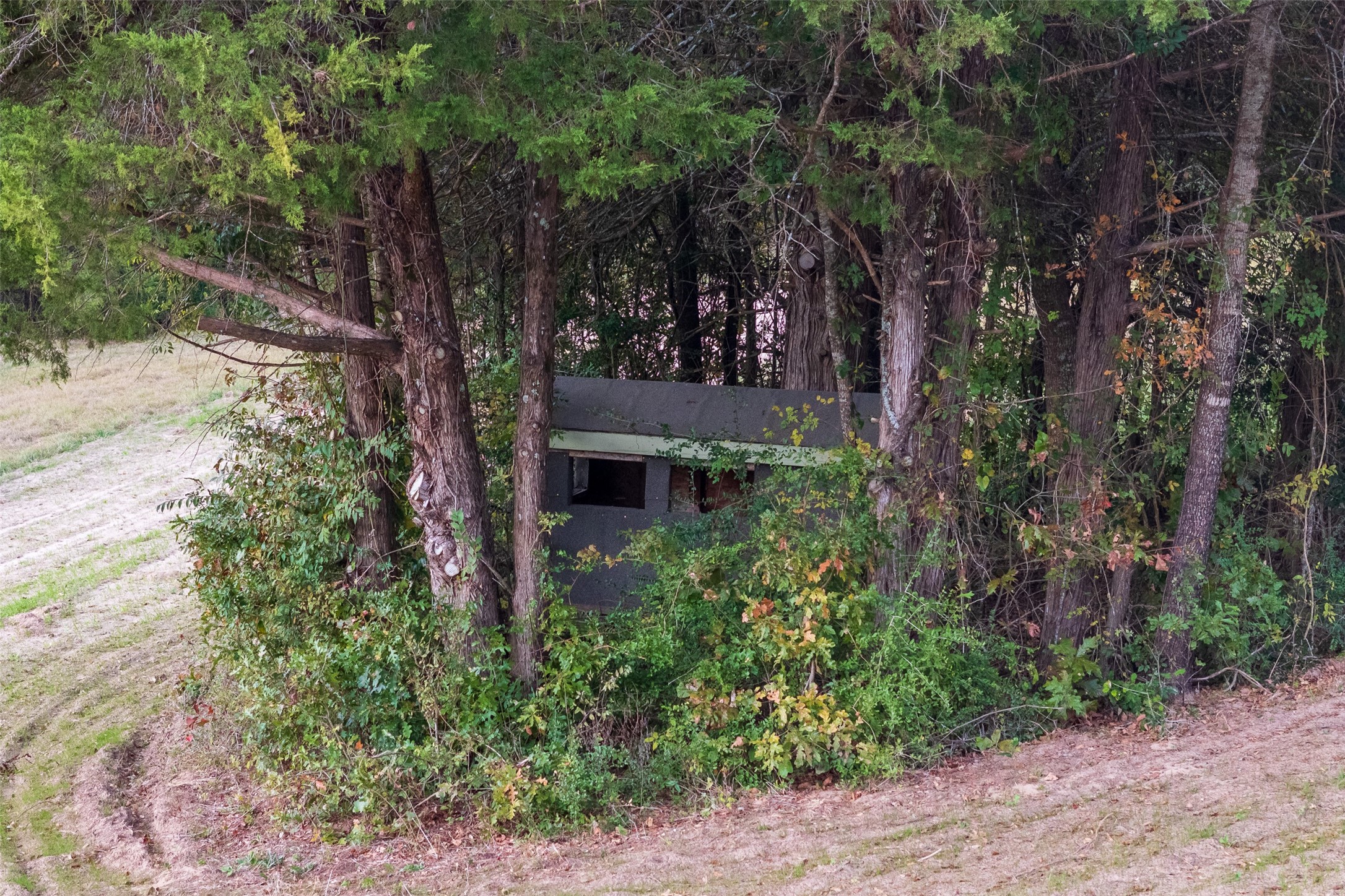 640 County Road 4910 Troup TX 75789